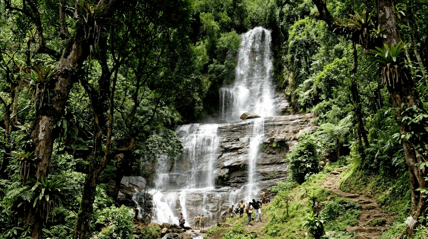 Nearby Attractions